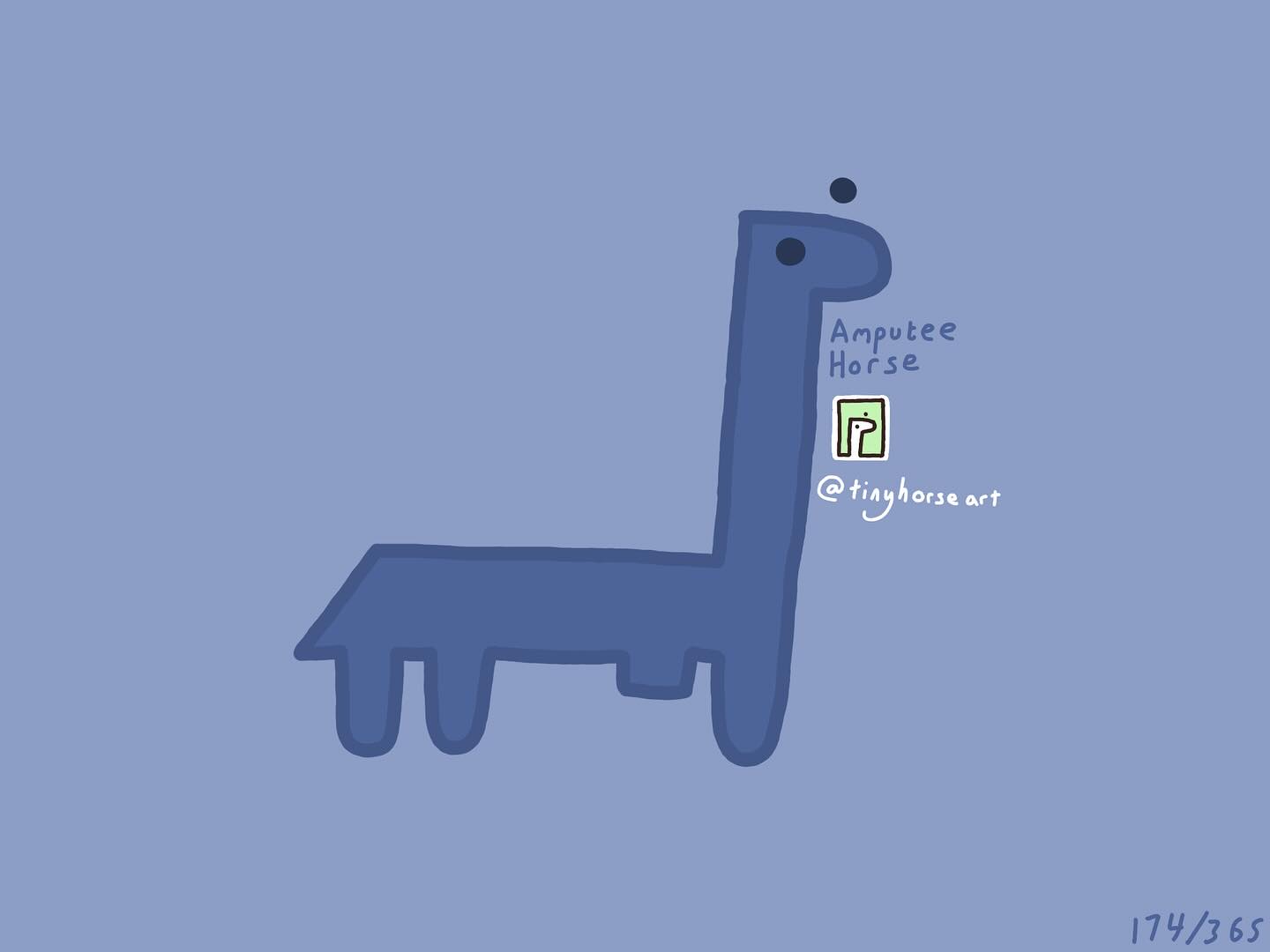 Amputee Horse