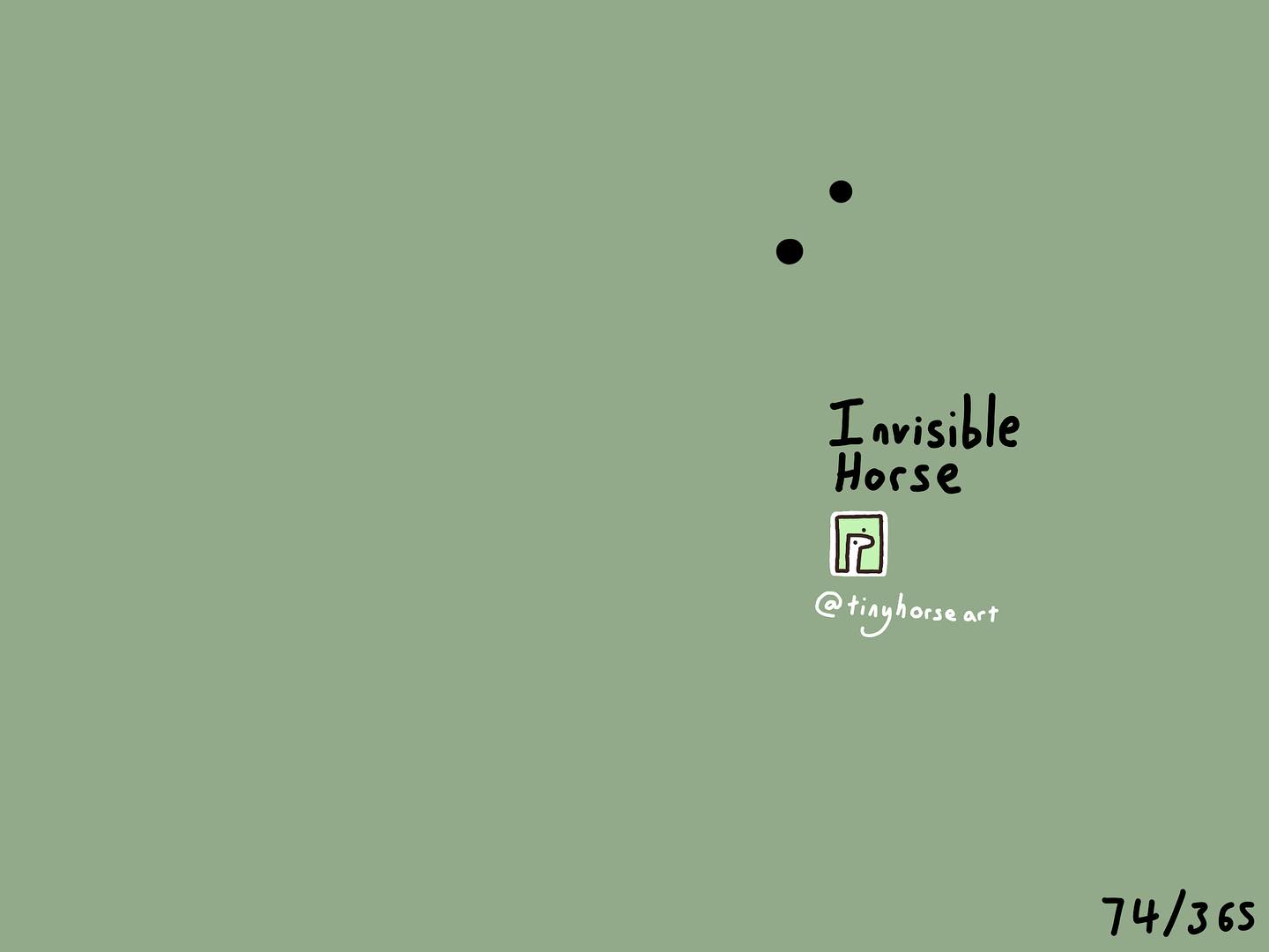 Invisible Horse