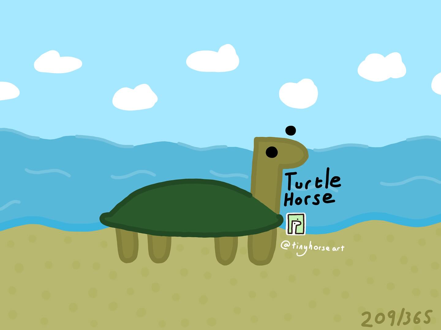 Turtle Horse