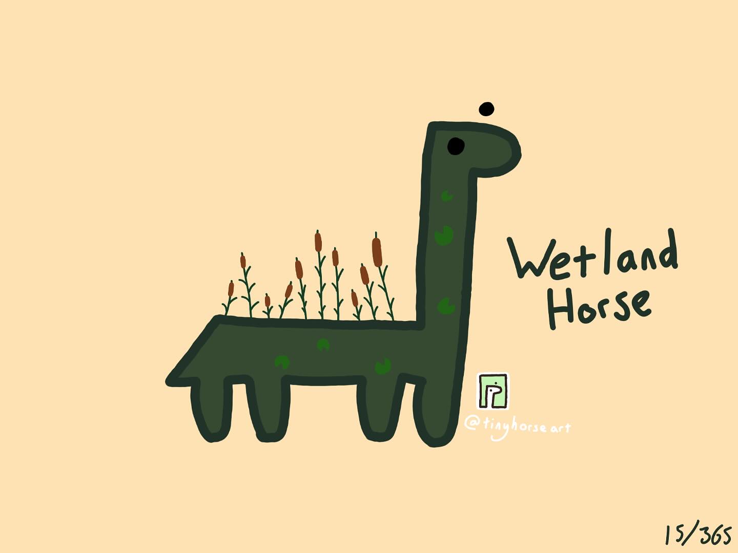 Wetland Horse